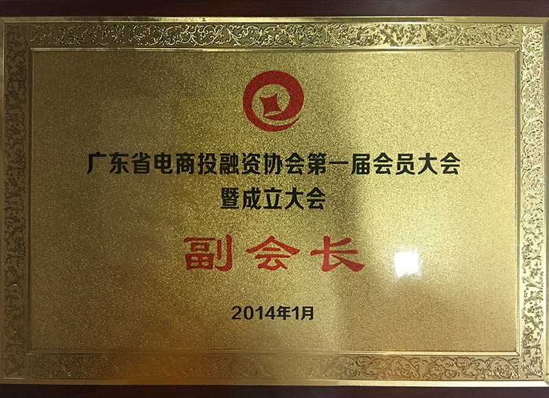 广东省电商投融资协会第一届会员大会副会长